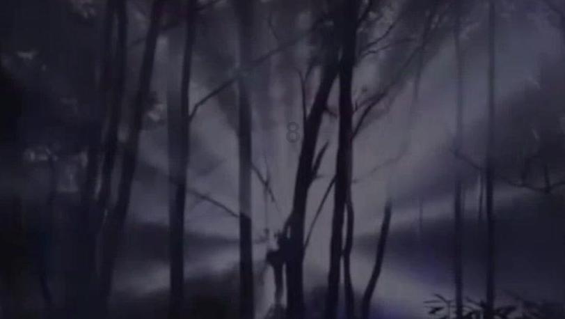 迷人的妖精